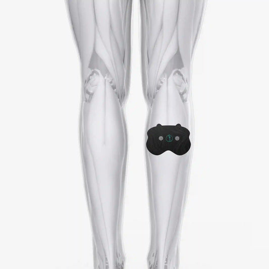Halo Calf Pad Set 6-Pack