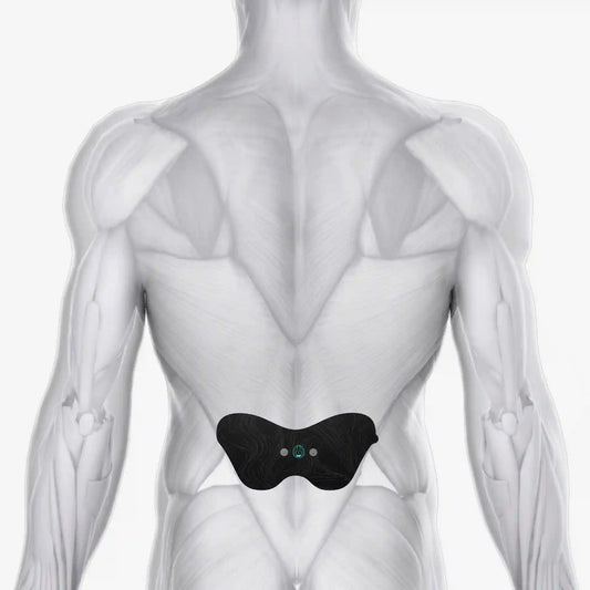 Halo Lower Back Pad Set 3-Pack