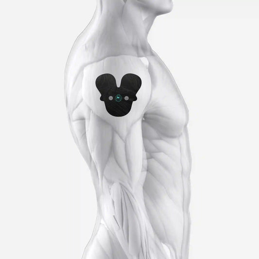 Halo Shoulder Pad Set 3-Pack