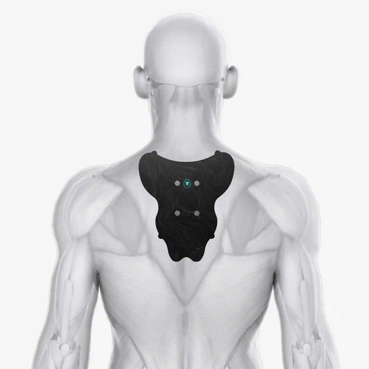 Halo Upper Back Pad Set 6-Pack