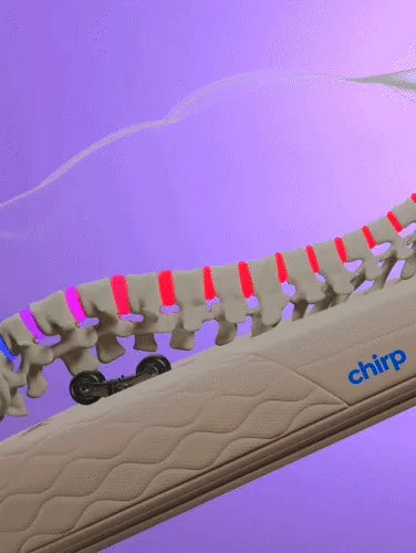 Chirp Contour | Decompression & Massage Table